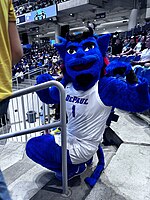 DePaul's Mascot DIBS Depaul Dibs 2.jpg