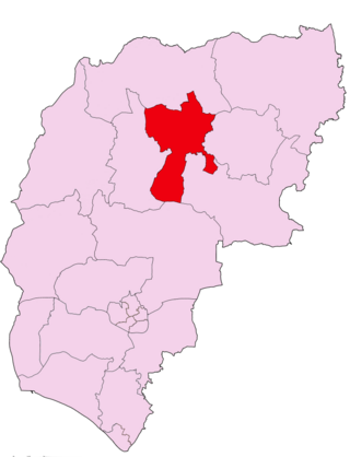 <span class="mw-page-title-main">Easebourne (ward)</span> Human settlement in England