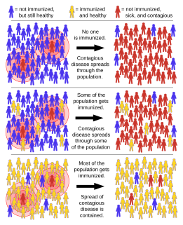 Herd immunity Concept in epidemiology