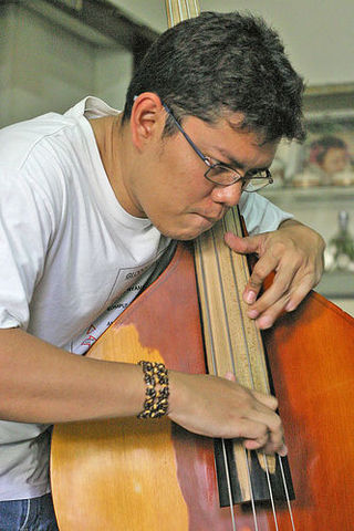 <span class="mw-page-title-main">Pizzicato</span> Playing technique for string instruments