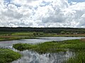 Leighton Moss Grisedale.jpg