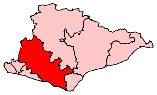 <span class="mw-page-title-main">Lewes (UK Parliament constituency)</span> Parliamentary constituency in the United Kingdom, 1868 onwards