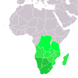 <span class="mw-page-title-main">Southern Africa</span> Southernmost region of the African continent