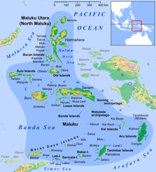 <span class="mw-page-title-main">Babar Islands</span> Island group in Maluku Province, Indonesia