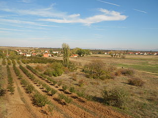 <span class="mw-page-title-main">Oblačina</span> Village in Nišava District, Serbia