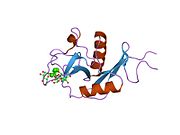 2it5: Estrutura cristalina de DCSIGN-CRD con man6