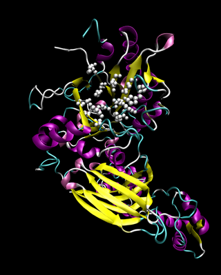 <span class="mw-page-title-main">Phosphoinositide phospholipase C</span>