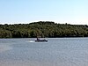 A pontoon boat on a lake with a forested shore