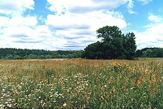 <span class="mw-page-title-main">Privolzhskaya Lesostep Nature Reserve</span> Nature reserve in Penza Oblast, Russia