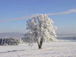 Nezbavětice – Veduta