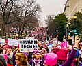 Miniatura para Marcha de las Mujeres de 2017