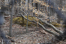 “A” FORT AND BATTERY HILL REDOUBT – CAMP EARLY - AKA MEASLES FORT.jpg