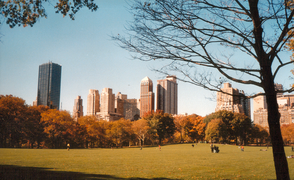 El Central Park