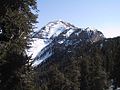 Image 1Mount Charleston (from Nevada)