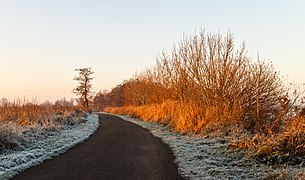 Langweerderwielen (Langwarder Wielen) and surroundings