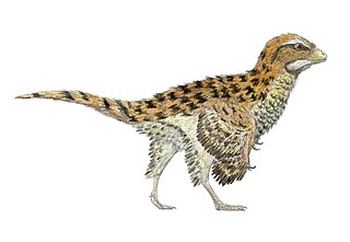 <i>Eosinopteryx</i> Extinct genus of dinosaurs