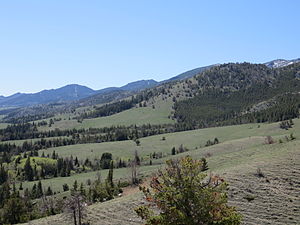 Ferris Mountains