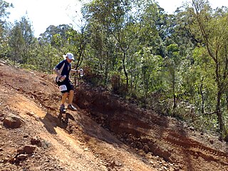 <span class="mw-page-title-main">Mountain running</span> Sports discipline