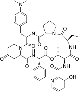 Pristinamycin group of chemical compounds