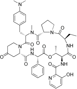 <span class="mw-page-title-main">Pristinamycin</span> Group of chemical compounds