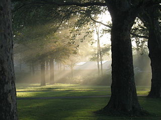 <span class="mw-page-title-main">Tyndall effect</span> Scattering of light by particles in a colloid such as a fine suspension