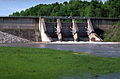 Tellico Dam