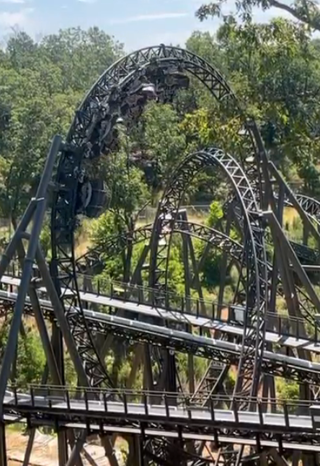 <span class="mw-page-title-main">Time Traveler (roller coaster)</span> Ride at Silver Dollar City