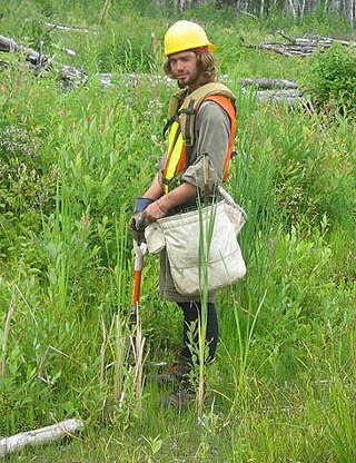 <span class="mw-page-title-main">Tree planting</span> Process of transplanting tree seedlings