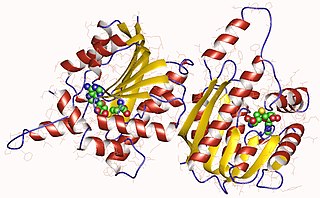 <span class="mw-page-title-main">Magnesium protoporphyrin IX methyltransferase</span>