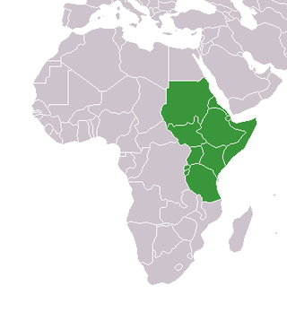 <span class="mw-page-title-main">CECAFA</span> Football organisation in East Africa