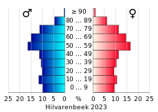 Bevolkingspiramide van de gemeente Hilvarenbeek