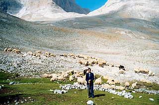 <span class="mw-page-title-main">Yaylak</span> Summer highland pasture associated with transhumance pastoralism