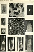 Annals of tropical medicine and parasitology (1907) (18422366115).jpg