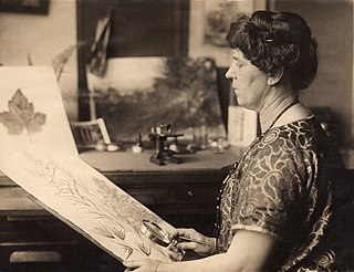 <span class="mw-page-title-main">Ellen Isham Schutt</span> American botanical illustrator