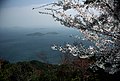 View of Seto Inland Sea from Mt. Zenitsubo, Yamaguchi Prefecture