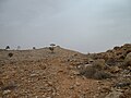 View of the cairn on Mount Poole