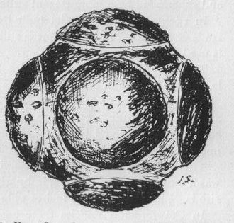 This carved stone ball (petrosphere) was found at Jock's Thorn farm in Kilmaurs, East Ayrshire, Scotland. Petrosphere.jpg