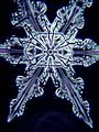 Snowflake crystal in microscope