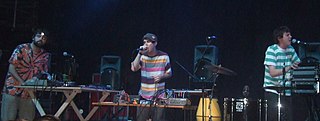 <span class="mw-page-title-main">Animal Collective</span> American experimental pop band