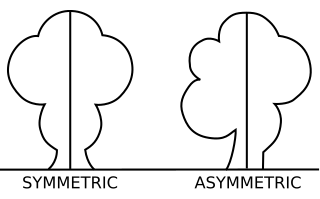 <span class="mw-page-title-main">Asymmetry</span> Absence of, or a violation of, symmetry