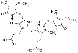 <span class="mw-page-title-main">Bilirubin</span> Red pigment of the bile