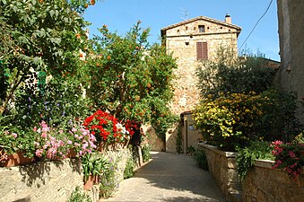 Street in the old town