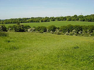 <span class="mw-page-title-main">Catherington Down</span>