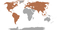 Combined native range of all species of deer