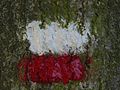 The characteristic white and red stripes that mark the path of a GR in France