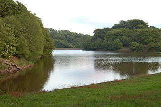 <span class="mw-page-title-main">High Bullough Reservoir</span> Reservoir in Lancashire, England