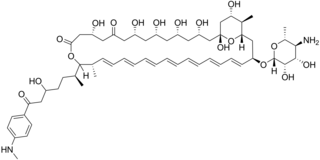 <span class="mw-page-title-main">Perimycin</span> Chemical compound