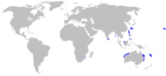 Área de distribuição da raia-abissal[2]