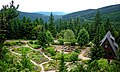 Deutschland, Thüringer Wald, Rennsteiggarten Oberhof