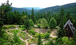 <span class="mw-page-title-main">Rennsteiggarten Oberhof</span> German botanical garden